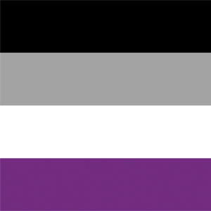 a graphic of the asexual pride flag: horizontal black, grey, white, and purple stripes.